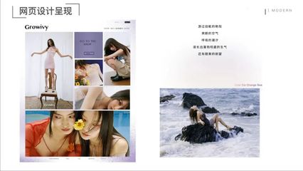 温州大学美术与设计学院2018级视觉传达设计专业《品牌设计