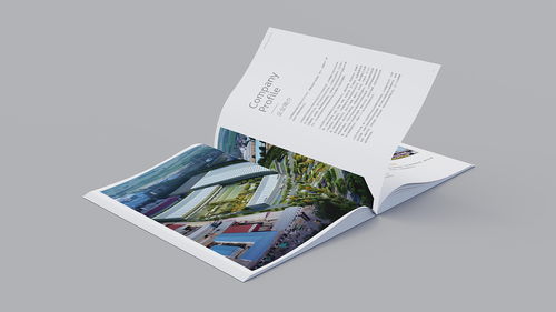 温州企业形象与食品品牌宣传册设计 融合网页设计理念的视觉新篇